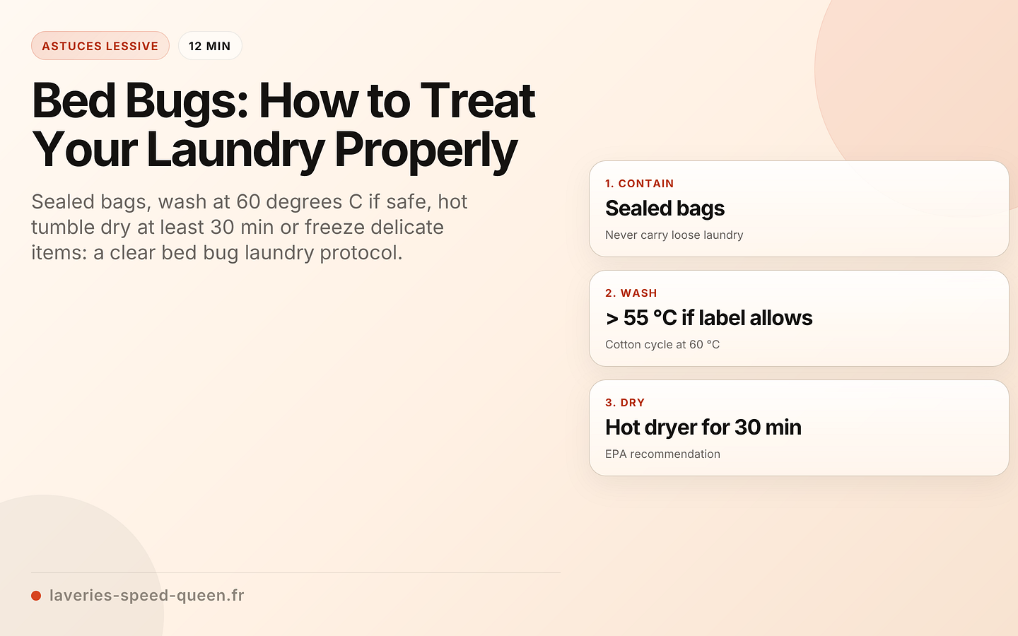 Bed Bugs: How to Treat Your Laundry Properly