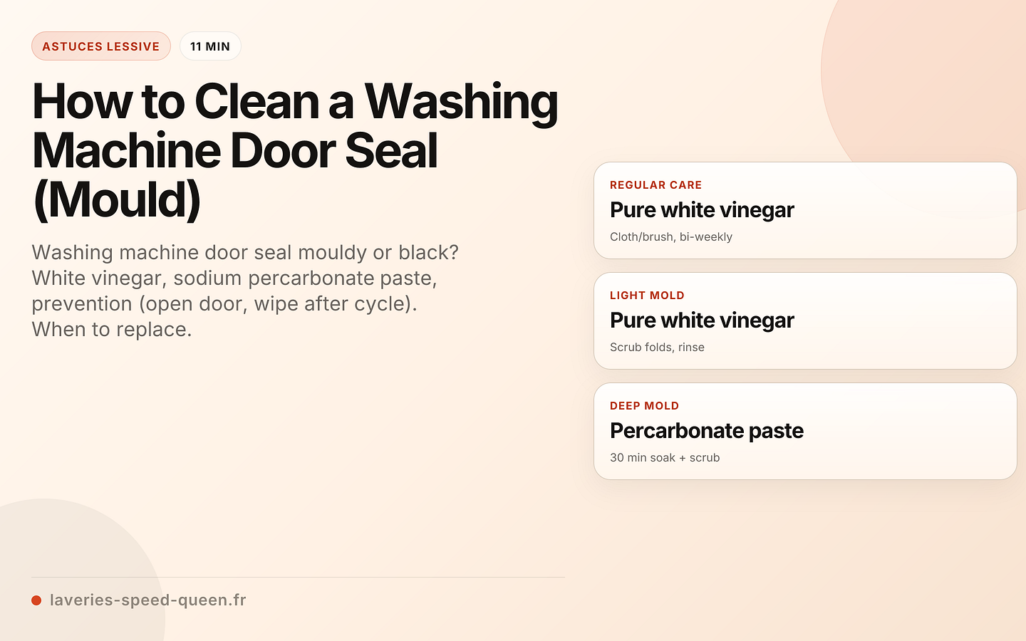 How to Clean a Washing Machine Door Seal (Mould)