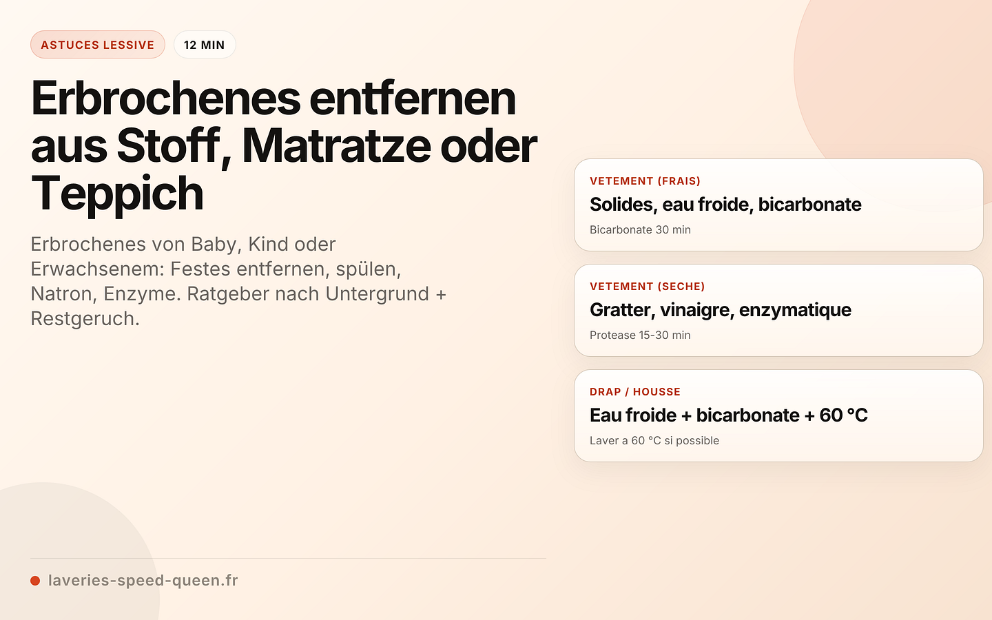 Erbrochenes entfernen aus Stoff, Matratze oder Teppich