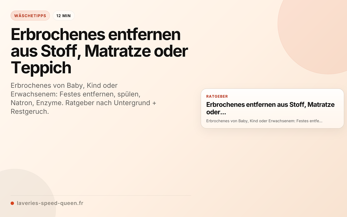 Erbrochenes entfernen aus Stoff, Matratze oder Teppich