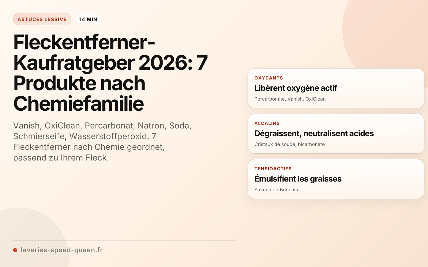 Fleckentferner-Kaufratgeber 2026: 7 Produkte nach Chemiefamilie
