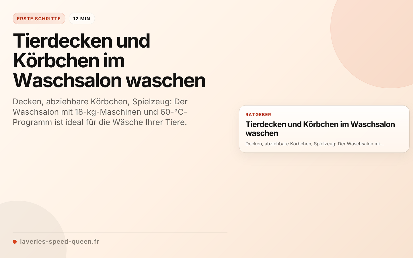 Tierdecken und Körbchen im Waschsalon waschen