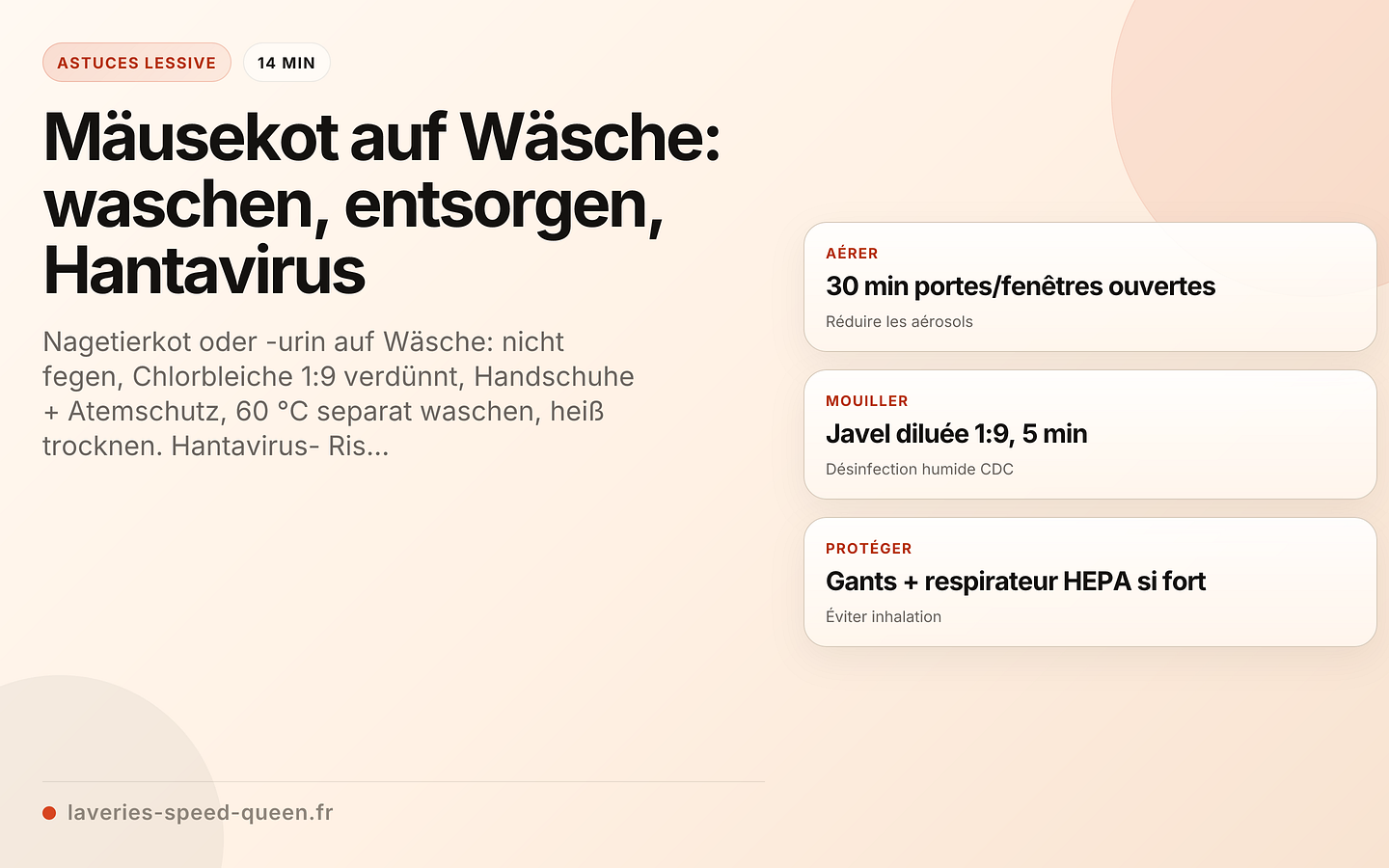 Mäusekot auf Wäsche: waschen, entsorgen, Hantavirus