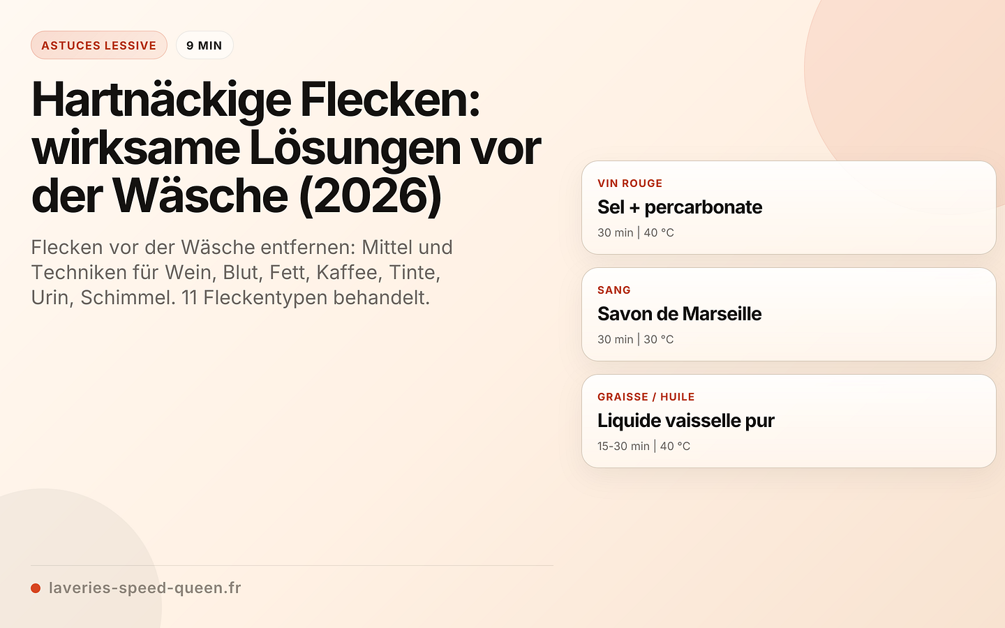 Hartnäckige Flecken: wirksame Lösungen vor der Wäsche (2026)