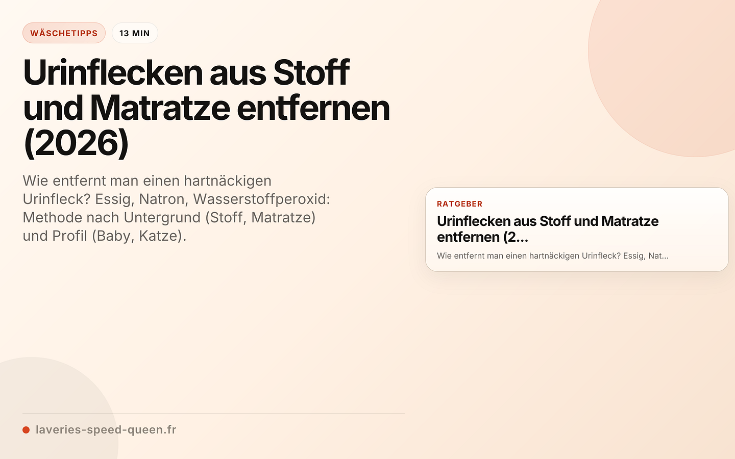 Urinflecken aus Stoff und Matratze entfernen (2026)
