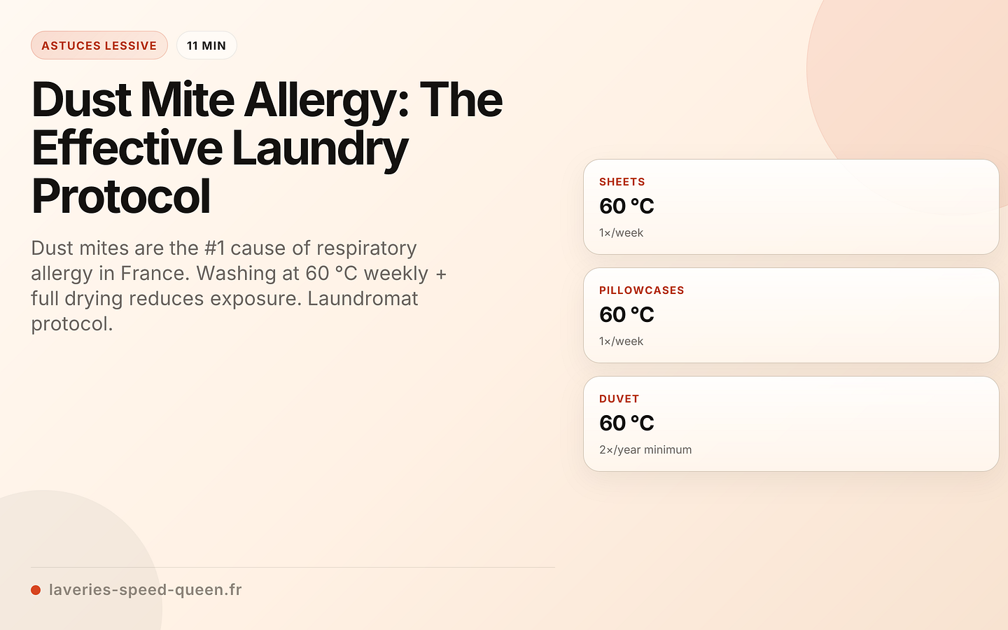 Dust Mite Allergy: The Effective Laundry Protocol