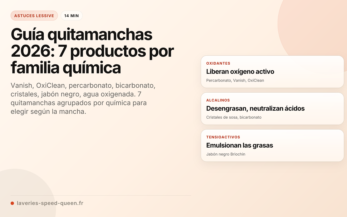 Guía de compra de quitamanchas: 7 productos comparados por familia química