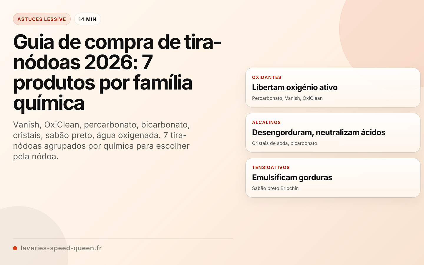 Guia de compra de tira-nódoas: 7 produtos comparados por família química