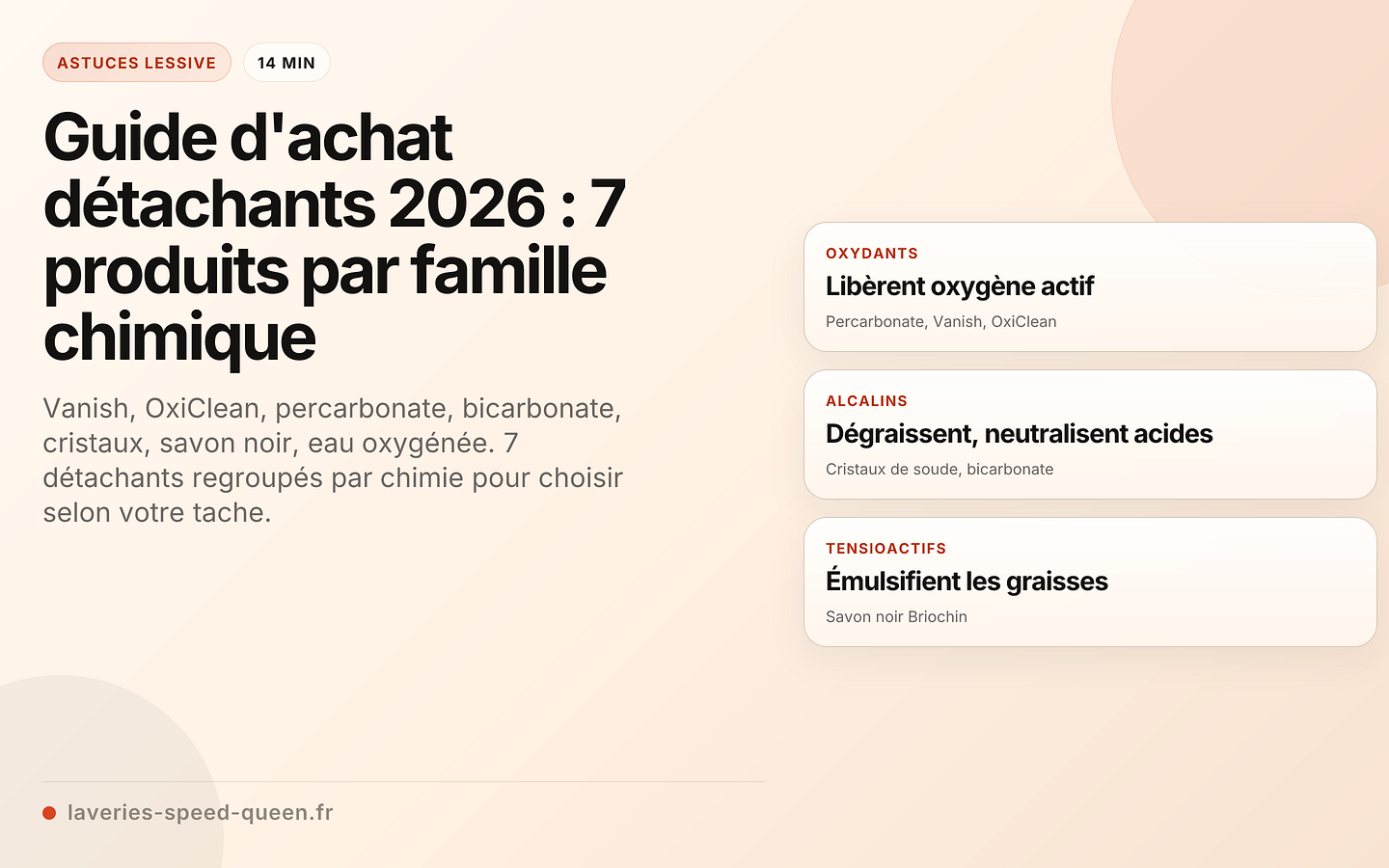 Guide d'achat détachants : 7 produits comparés par famille chimique