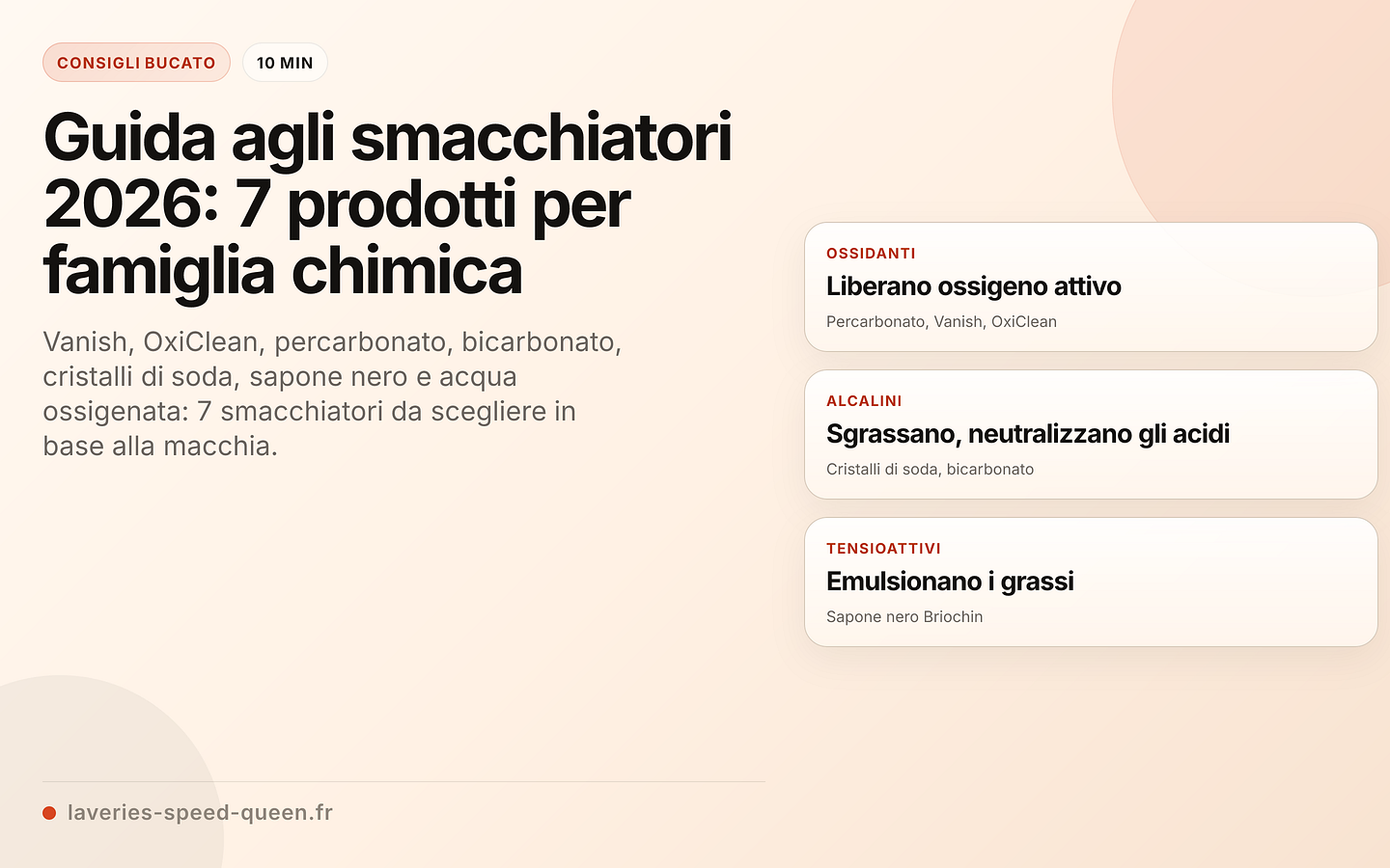 Guida all'acquisto degli smacchiatori: 7 prodotti a confronto per famiglia chimica