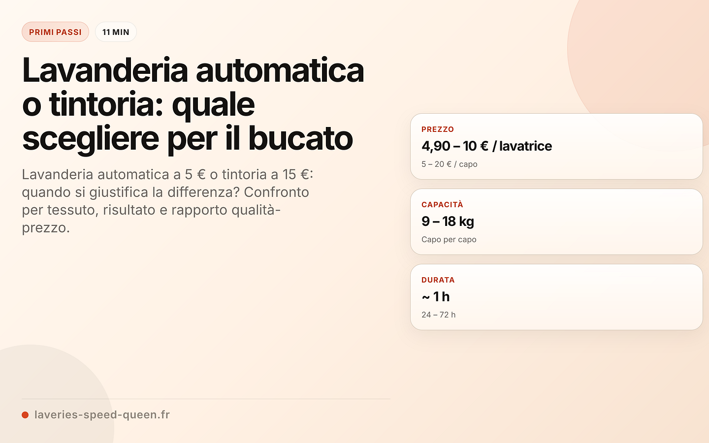 Lavanderia automatica e tintoria: il confronto