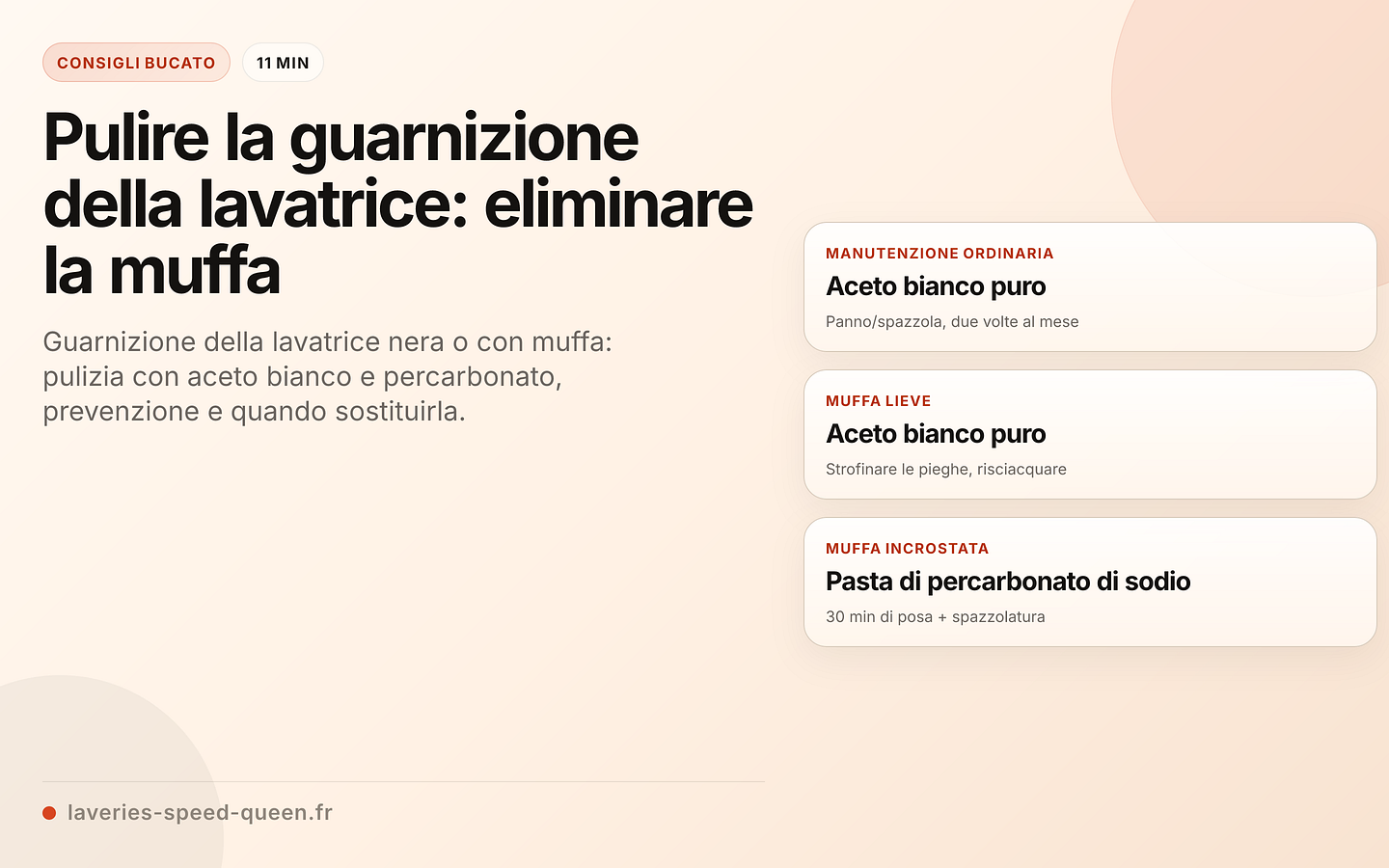 Pulizia della guarnizione della lavatrice