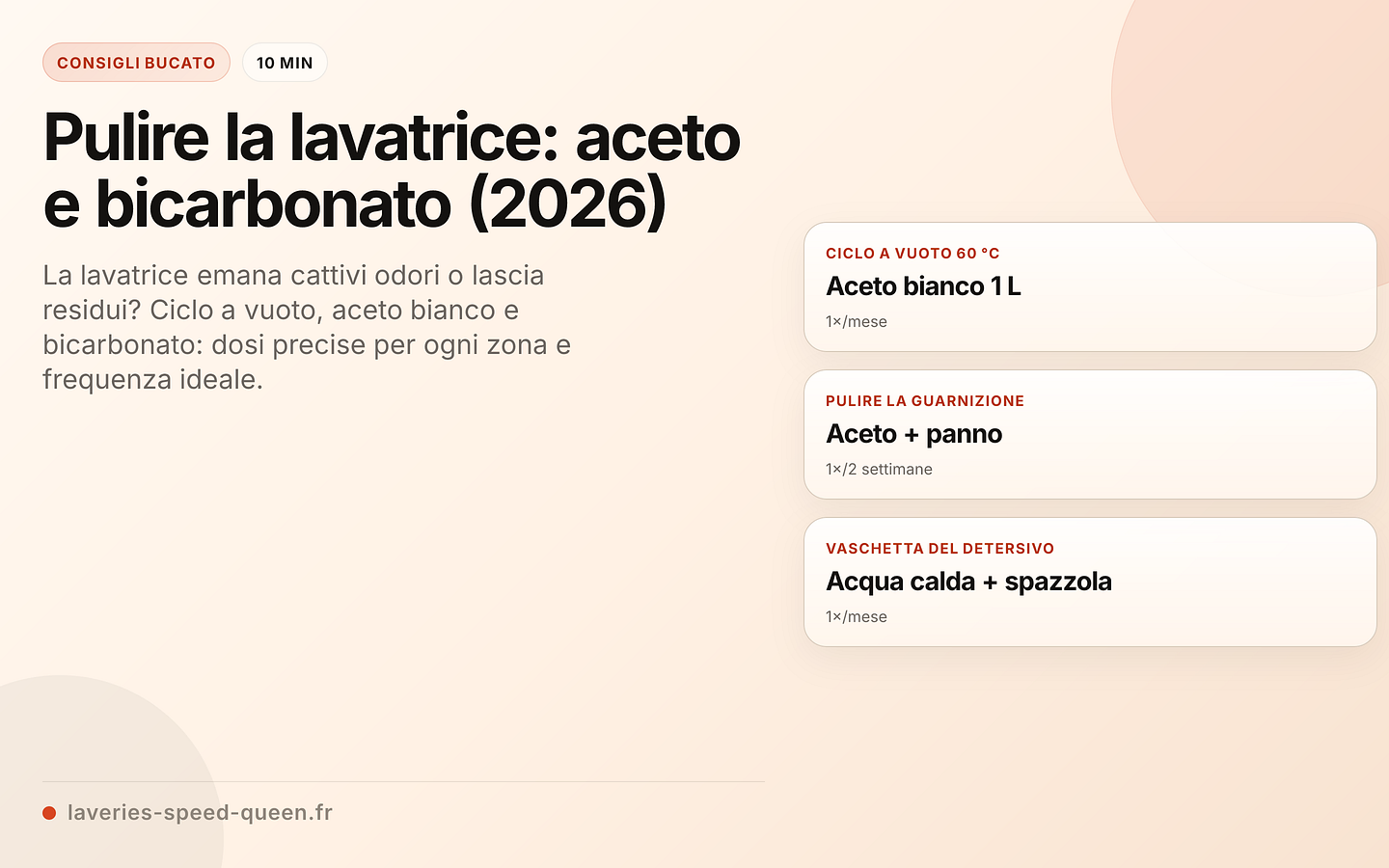 Manutenzione della lavatrice: programma