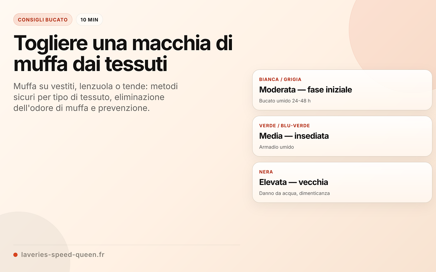 Muffa sui tessuti: colore e gravità