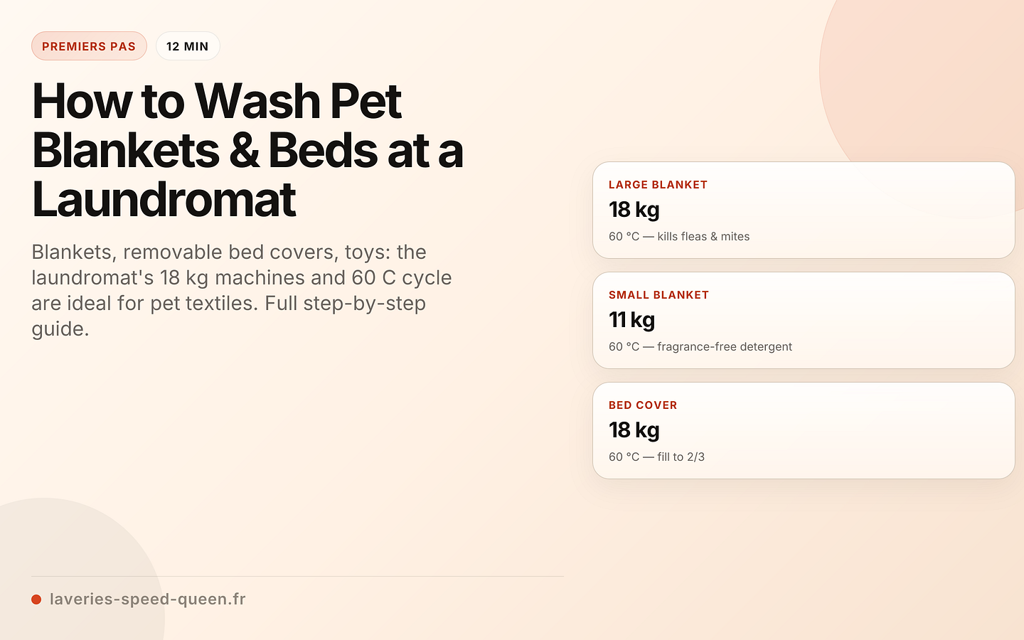 How to Wash Pet Blankets & Beds at a Laundromat