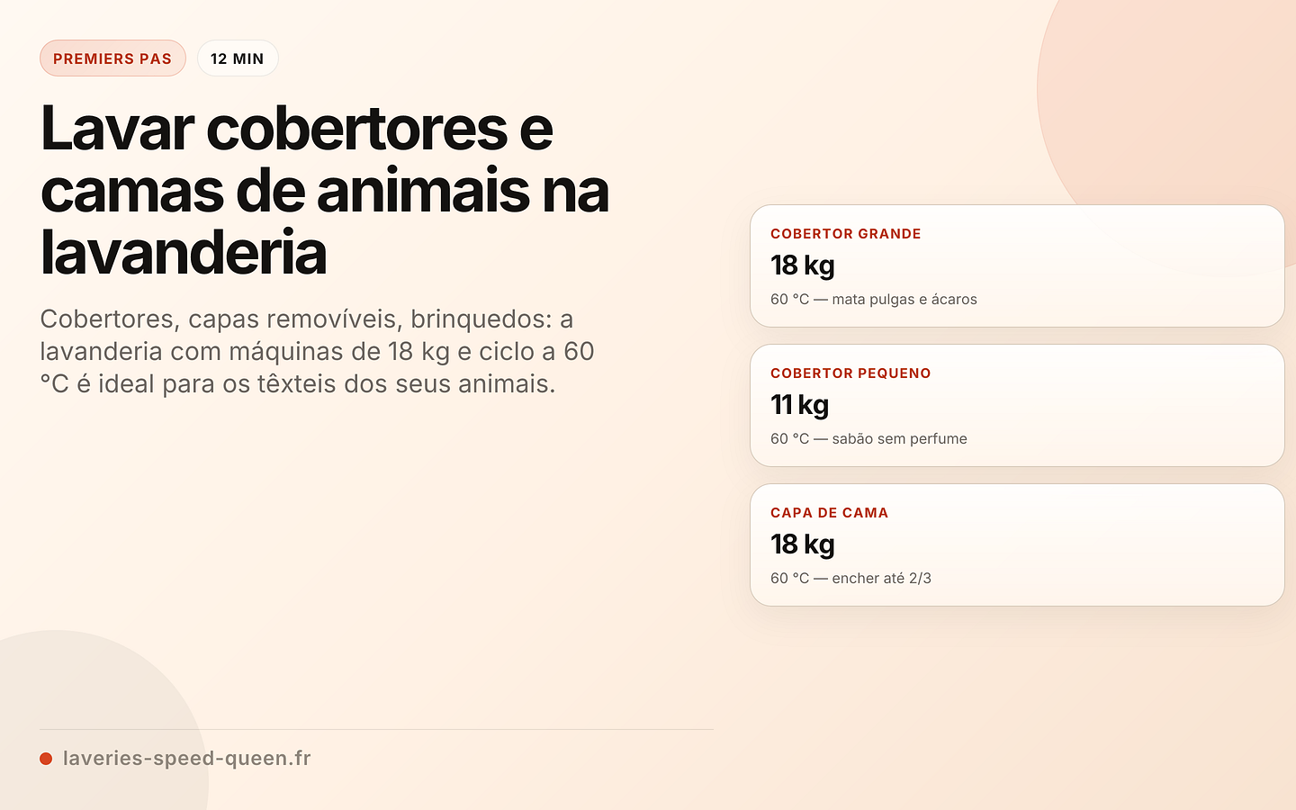 Lavar cobertores e camas de animais na lavanderia