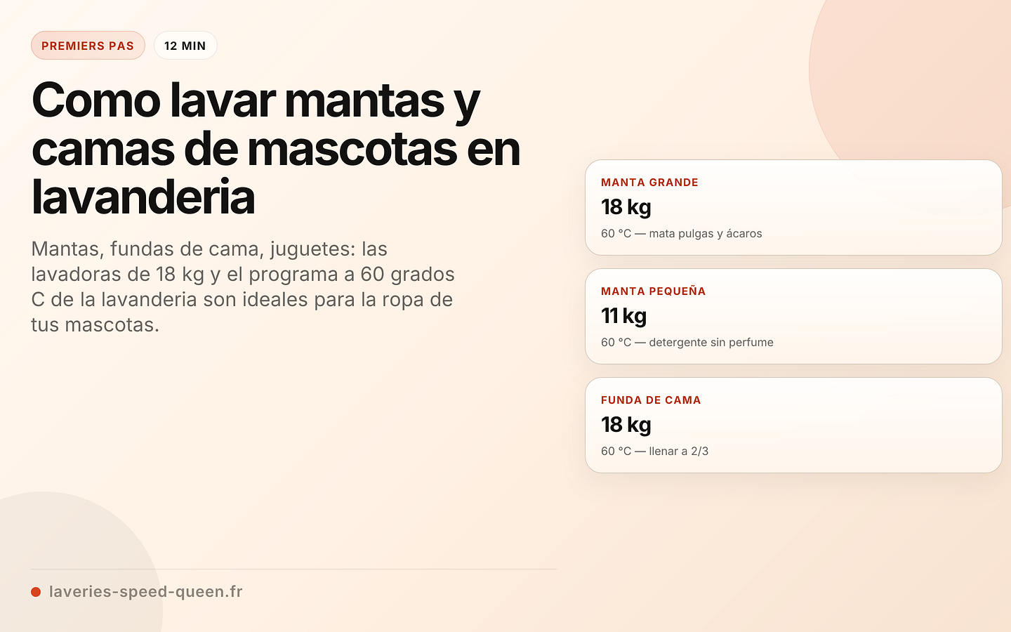 Como lavar mantas y camas de mascotas en lavanderia