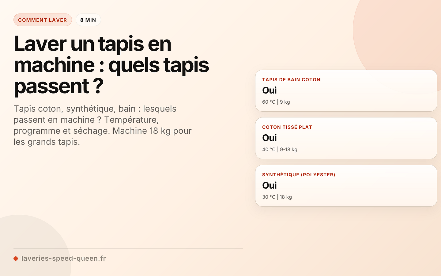 Laver un tapis en machine : quels tapis passent ?