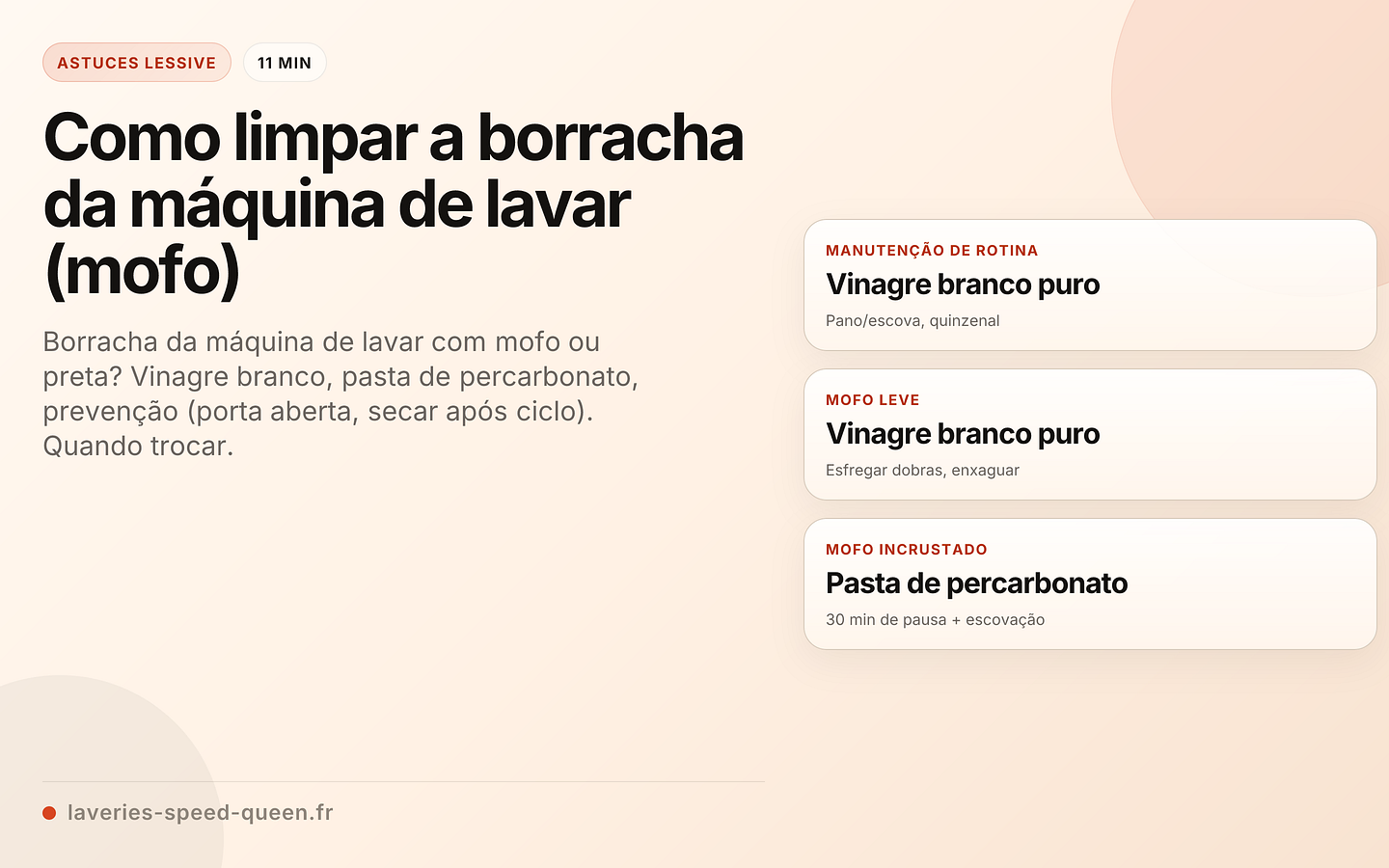 Como limpar a borracha da máquina de lavar (mofo)