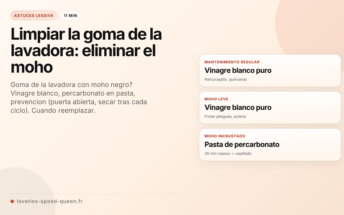Limpiar la goma de la lavadora: eliminar el moho
