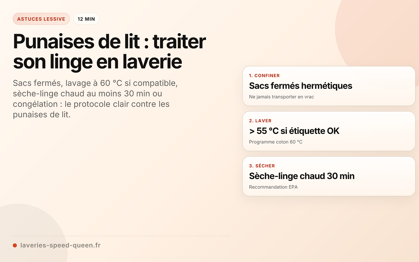 Punaises de lit : traiter son linge en laverie