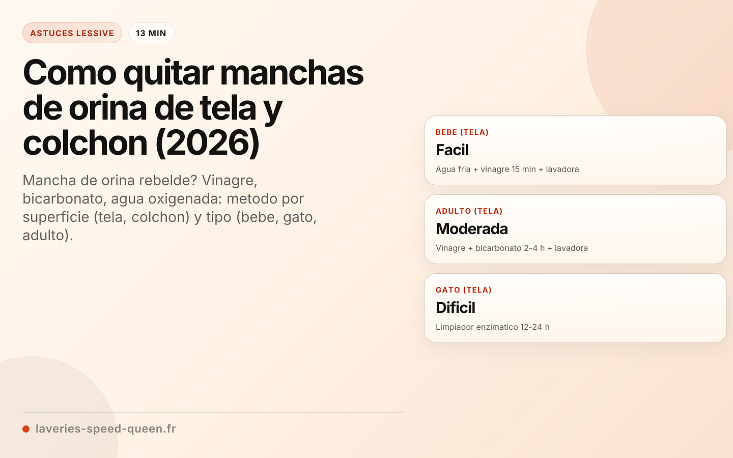 Quitar manchas de orina por origen y superficie