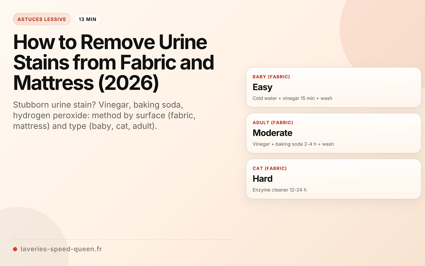 How to Remove Urine Stains from Fabric and Mattress (2026)