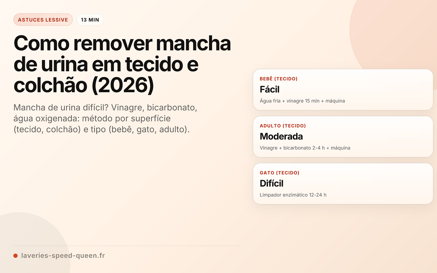 Como remover mancha de urina em tecido e colchão (2026)