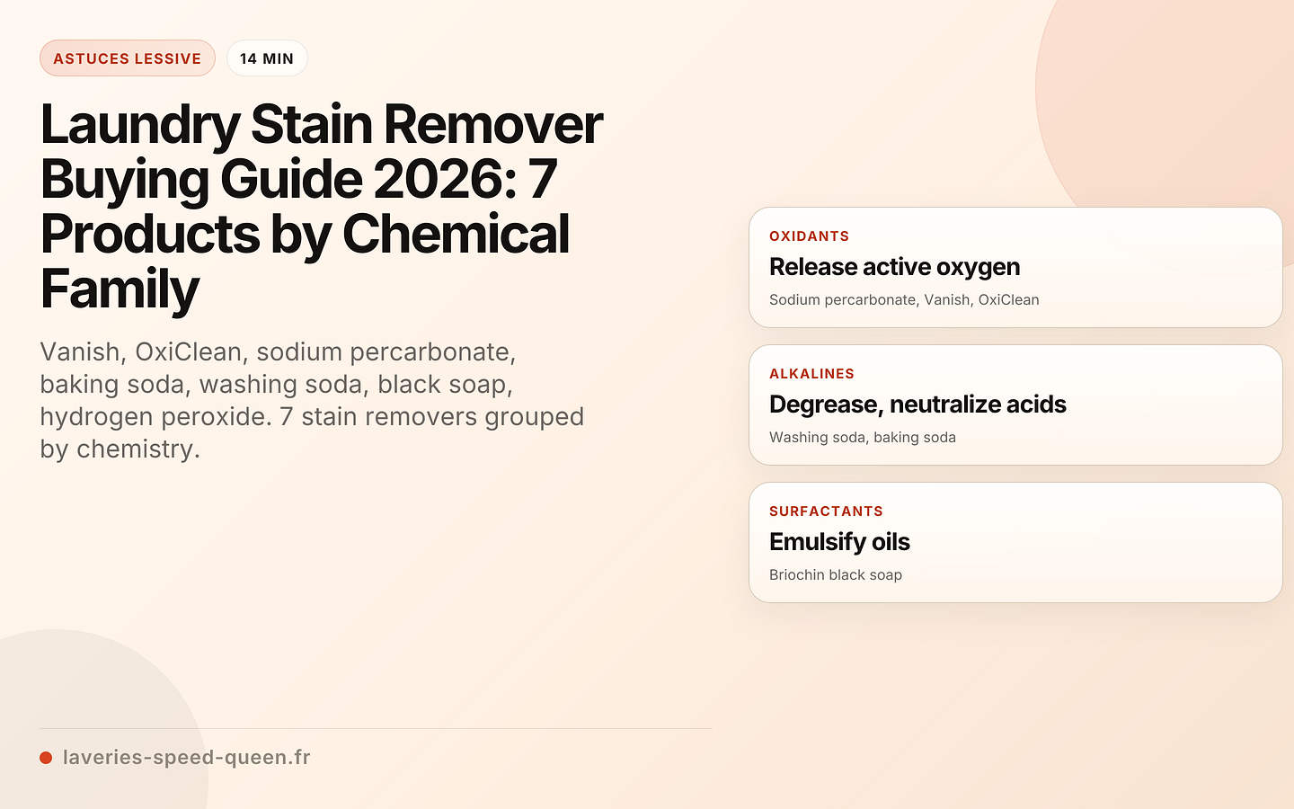 Stain remover buying guide: 7 products compared by chemical family